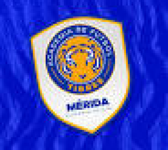 Academia tigres